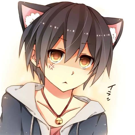 anime neko boy|cute anime neko boys.